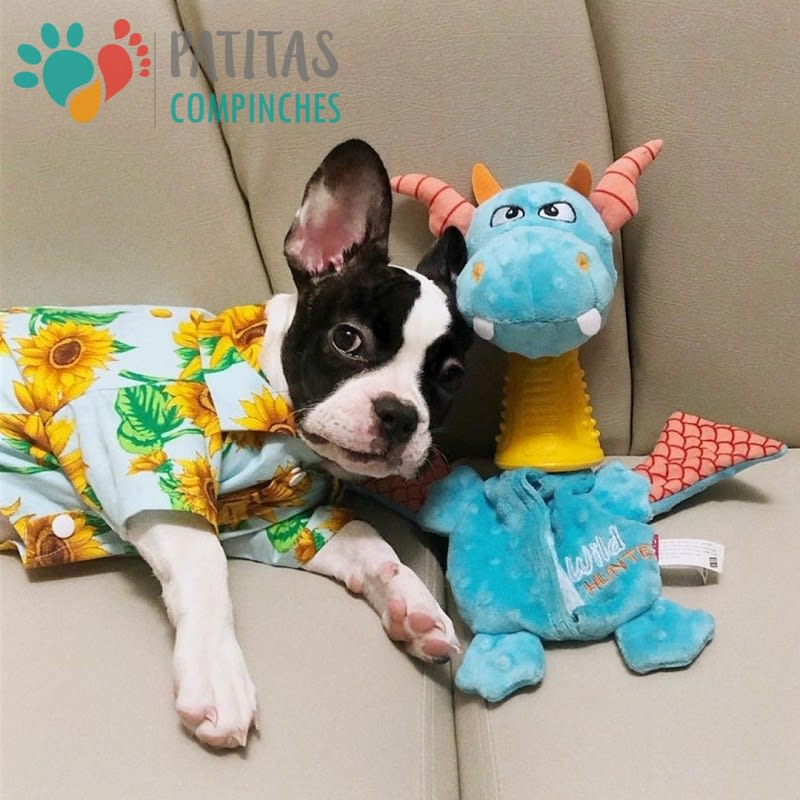 Wild Hunter | Dragon8