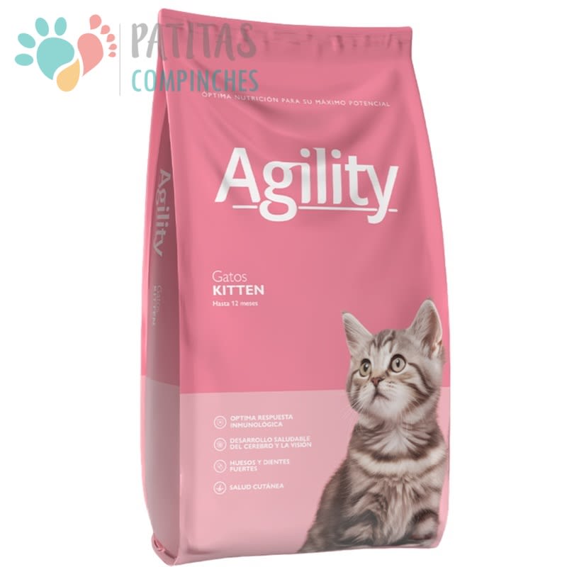 Agility Cat Kitten1