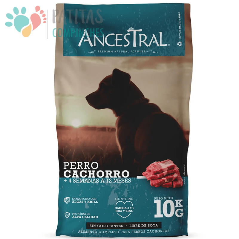 Ancestral Dog Cachorro 10k.1