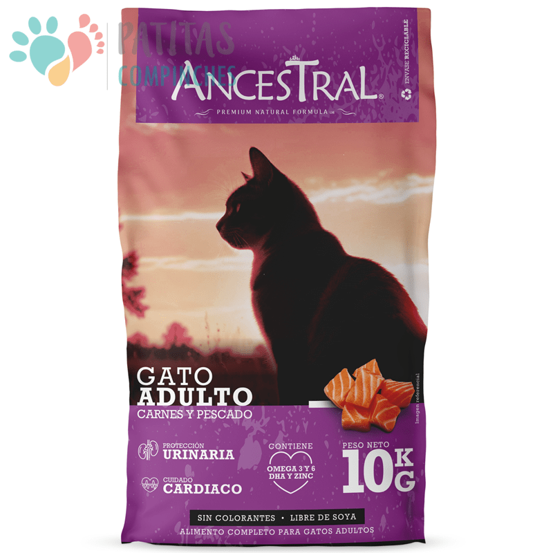 Ancestral Cat Adulto1
