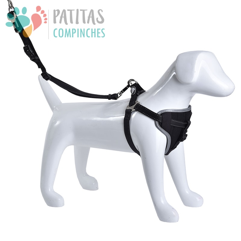 Mascan Arnés Multiuso1