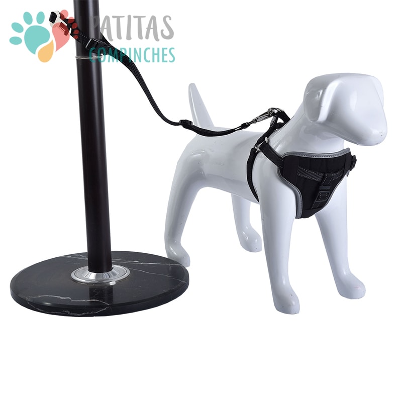 Mascan Arnés Multiuso4