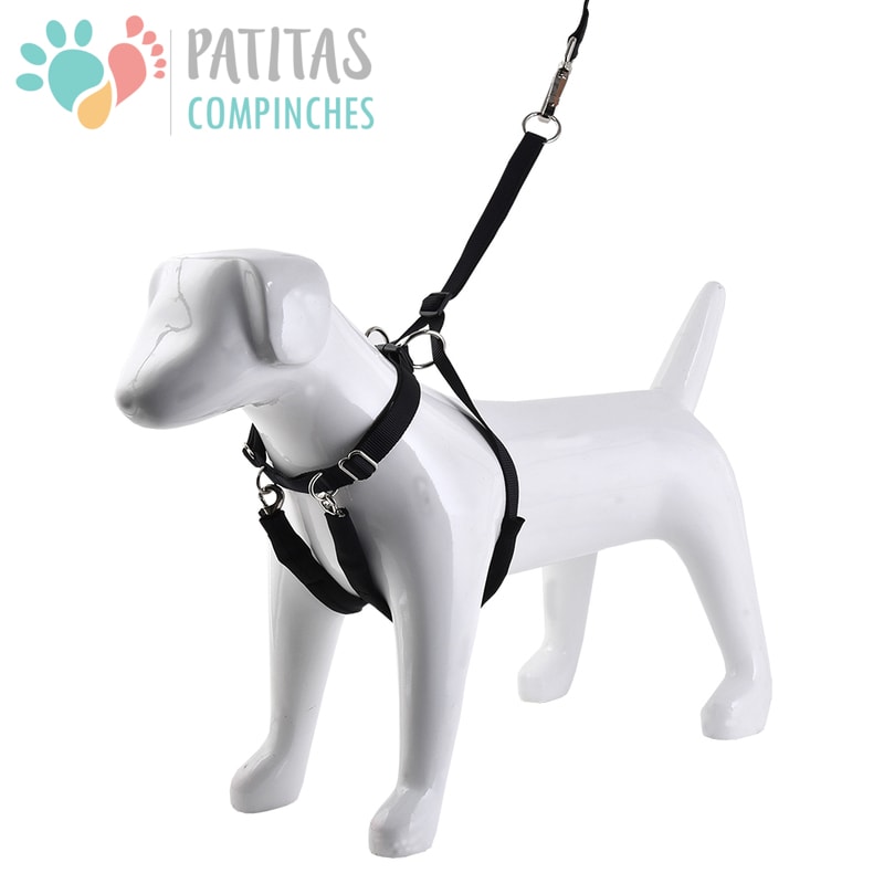 Mascan Arnés Anti-Tirones1