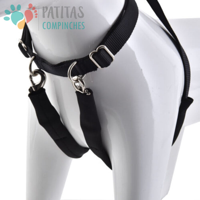 Mascan Arnés Anti-Tirones2