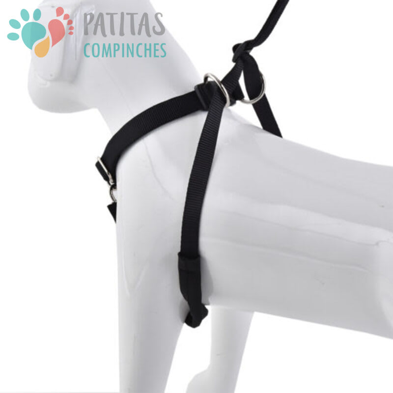 Mascan Arnés Anti-Tirones3