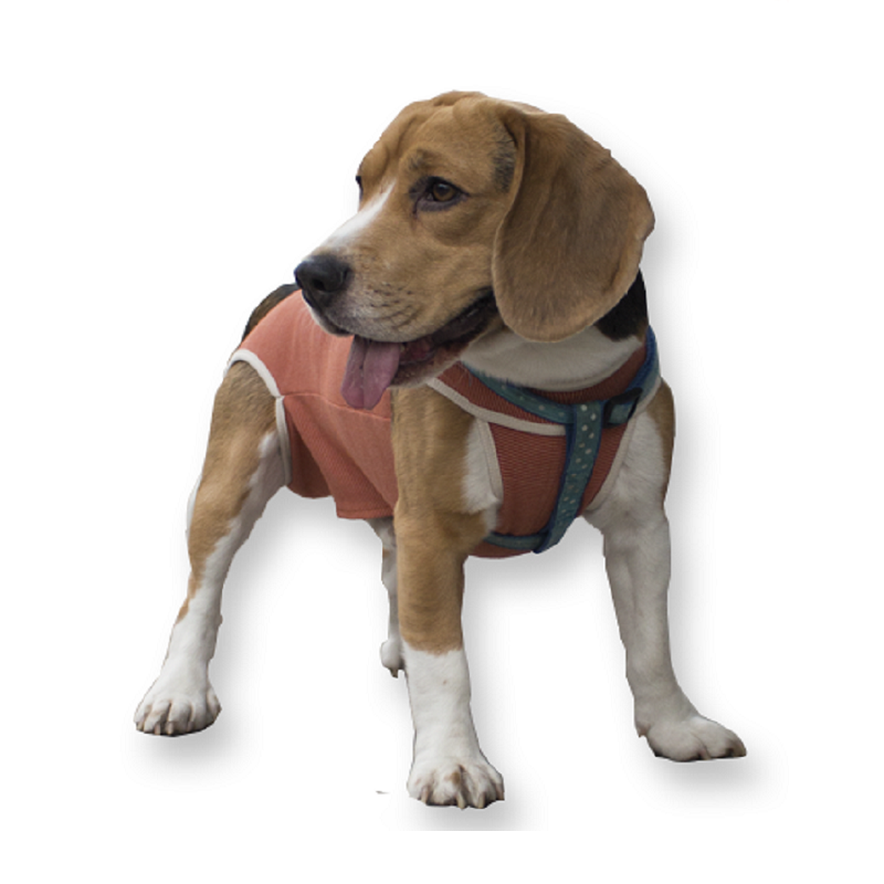 Kimba Body Cobre Tradicional2