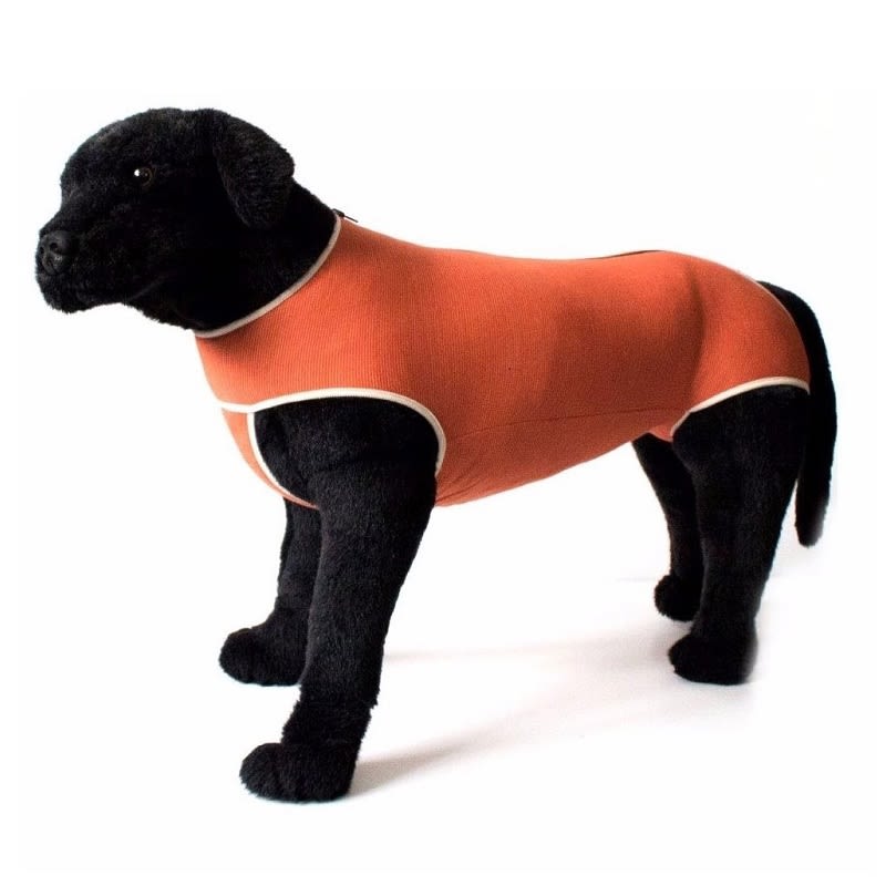 Kimba Body Cobre Tradicional1