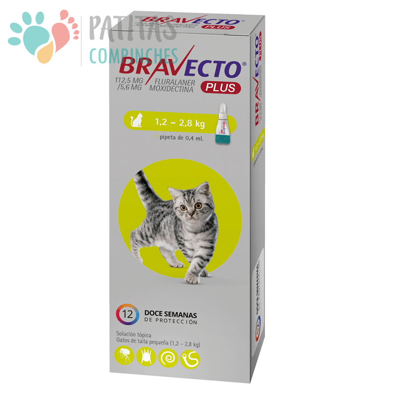 Bravecto Plus Gato2