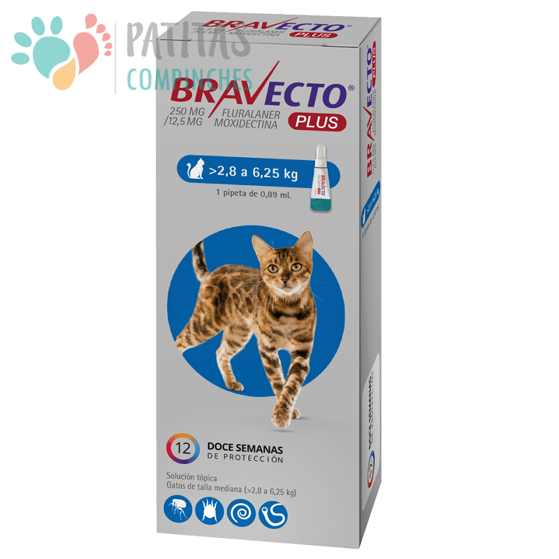 Bravecto Plus Gato3