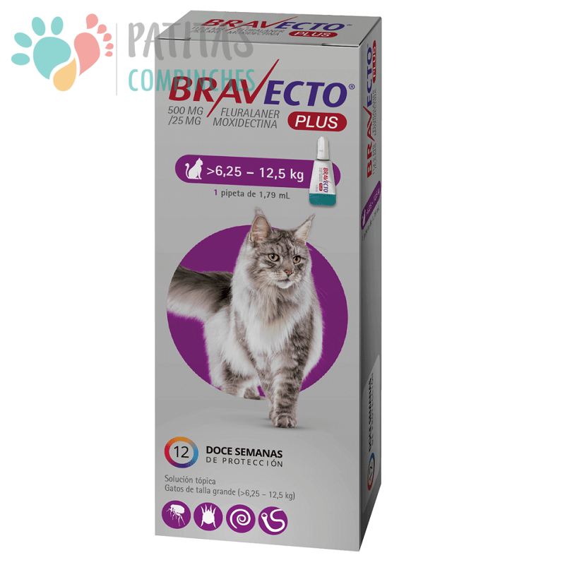 Bravecto Plus Gato4