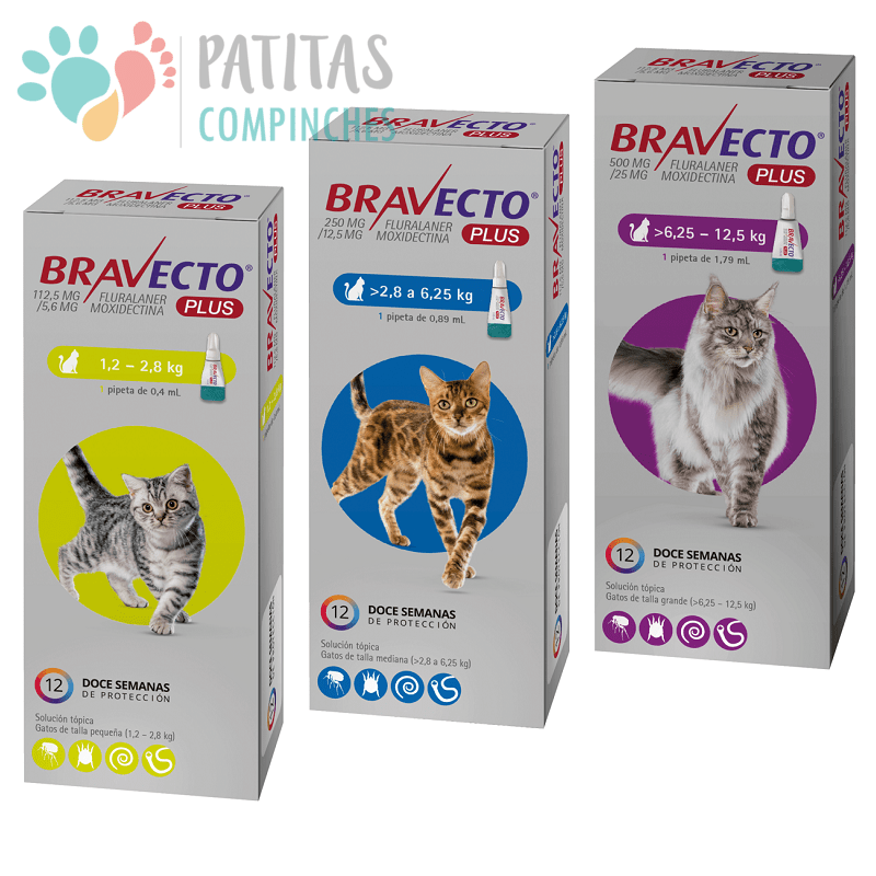 Bravecto Plus Gato1