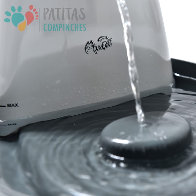 Fuente - Bebedero Agua 2lts.4