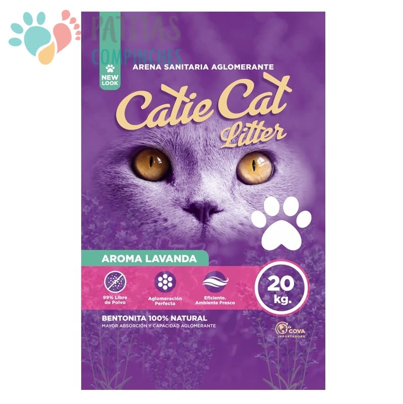 Catie Cat Lavanda3