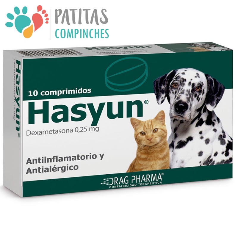 Hasyun | 10 Comp.1