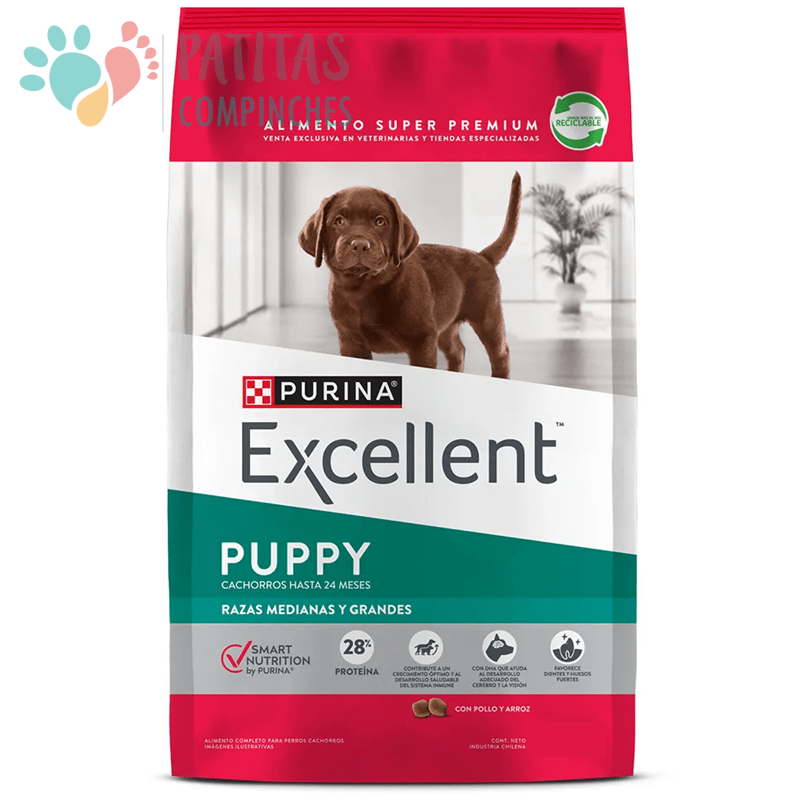 Excellent Dog Puppy 12k.1