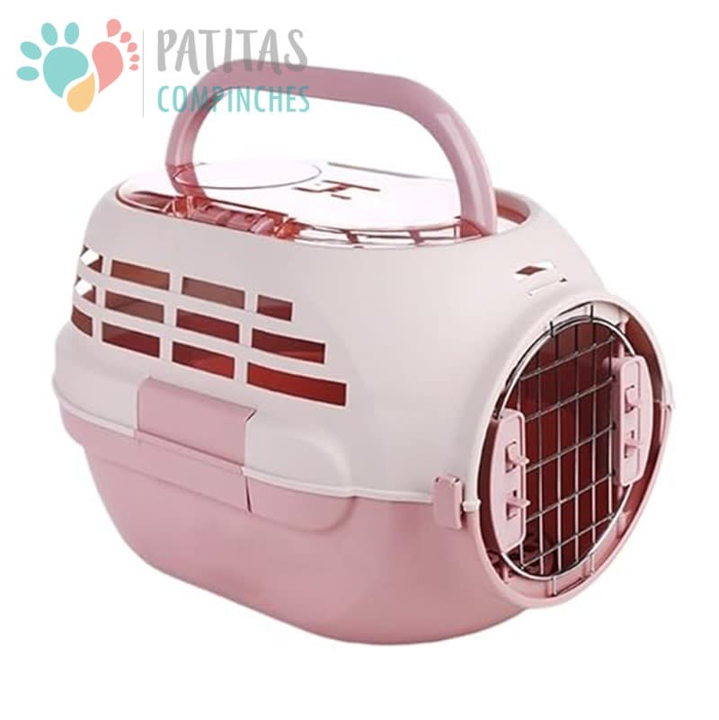 Transportadora Oval5