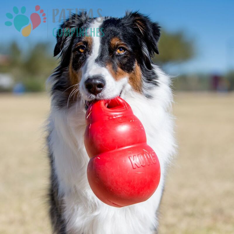 Kong Dog Bounzer | Medium3