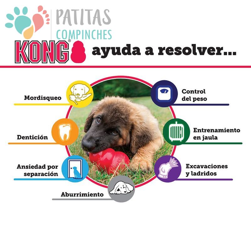 Kong Dog Bounzer | Large4