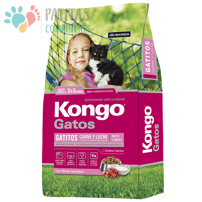 Kongo Cat Kitten1