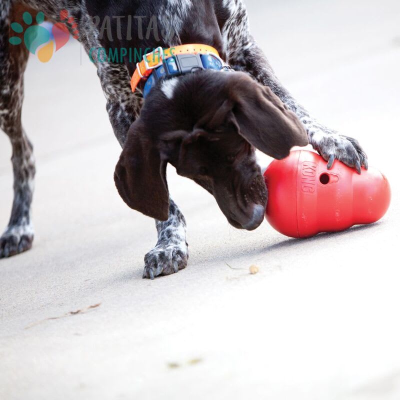 Kong Dog Wobbler4