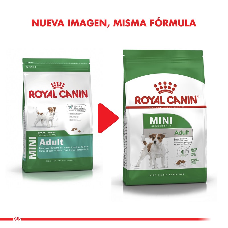 Royal Dog Adult Small2