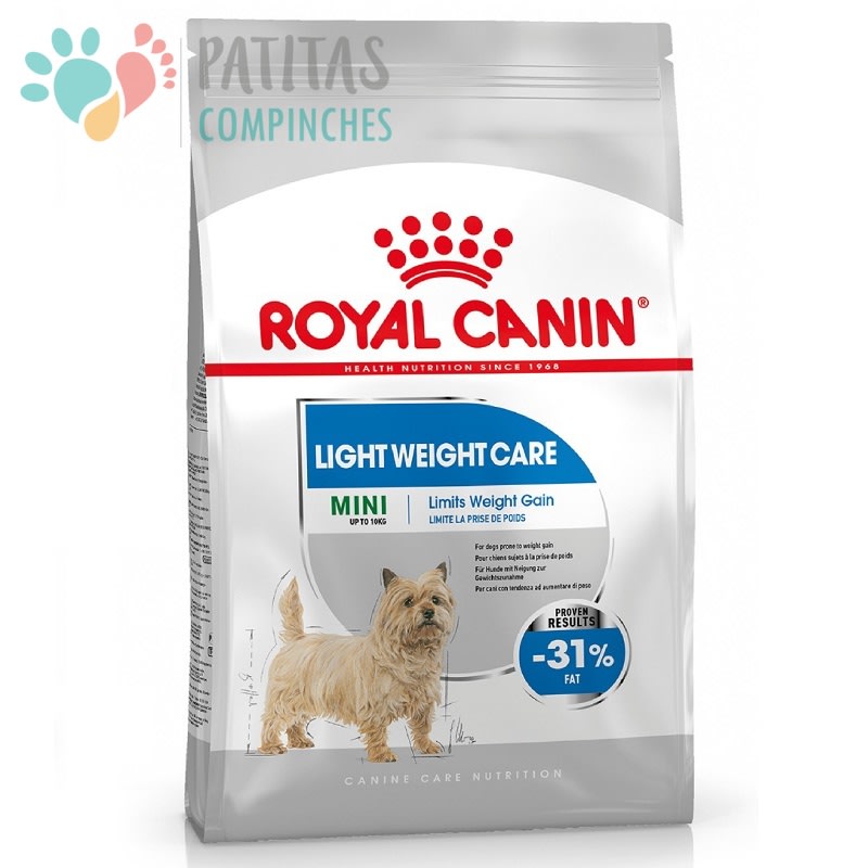 Royal Dog Light Mini1
