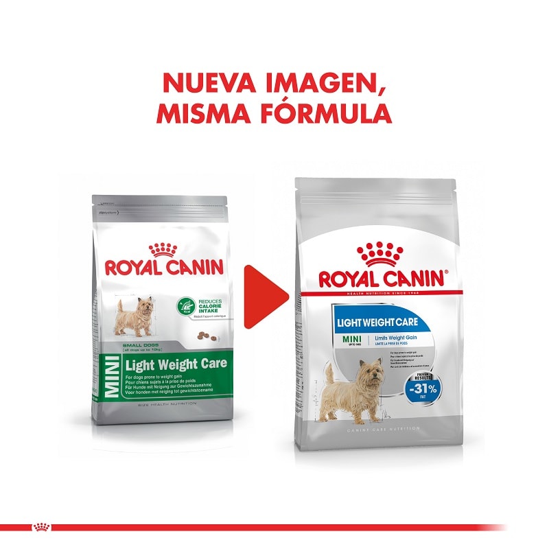 Royal Dog Light Mini2