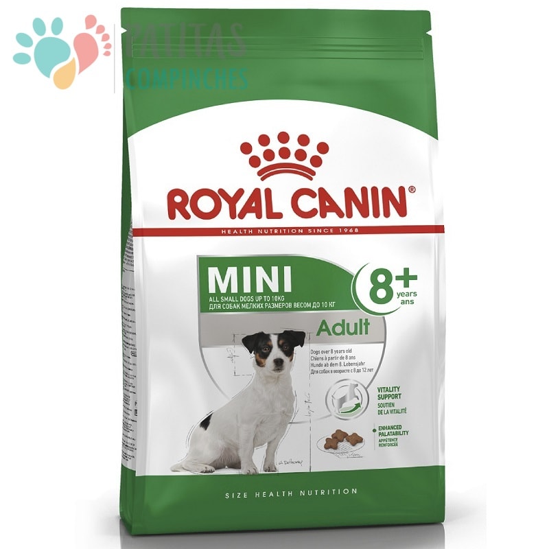 Royal Dog Mini Adult 8+ | Senior1