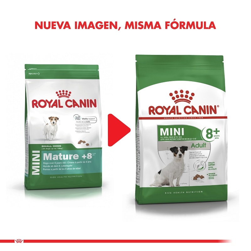 Royal Dog Mini Adult 8+ | Senior2