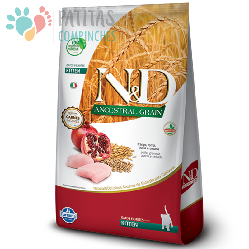 N&D Cat Ancestral | Kitten1