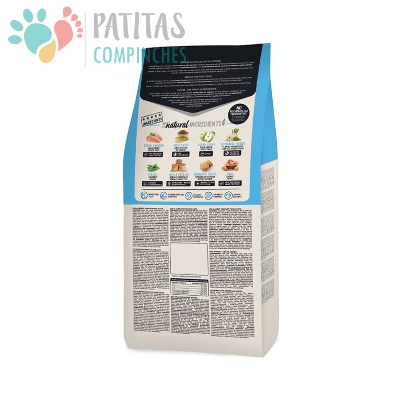 Ownat Cat Classic Kitten2