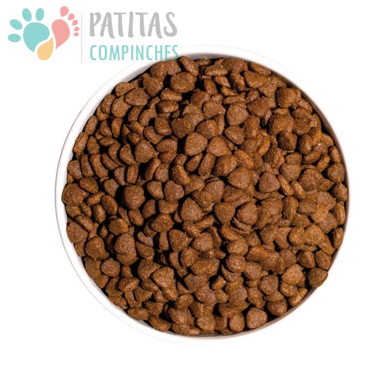 Ownat Cat Classic Kitten3