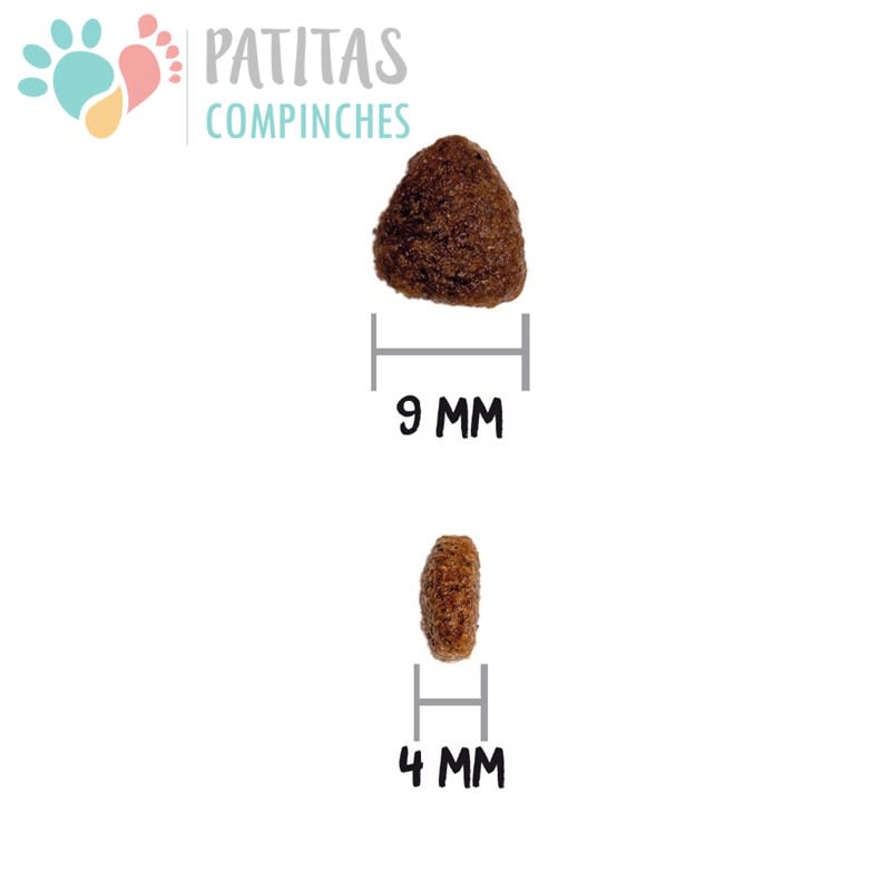 Ownat Cat Classic Kitten4