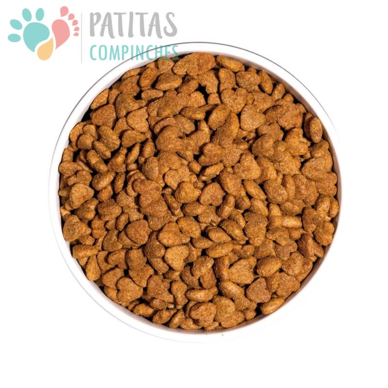 Ownat Cat Classic Light3