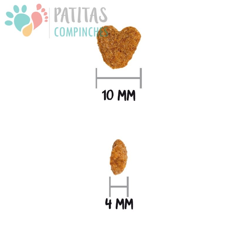 Ownat Cat Classic Light4