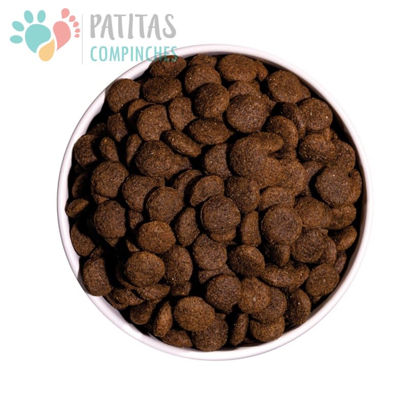 Ownat Dog Classic Duck3