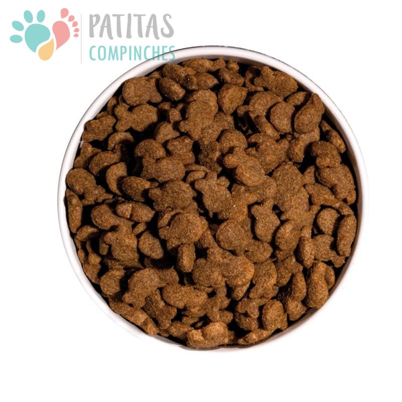 Ownat Dog Classic Fish3