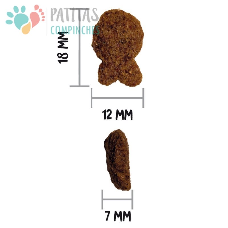 Ownat Dog Classic Fish4