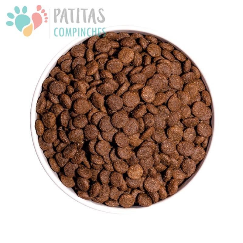 Ownat Dog Classic Raza Pequeña3