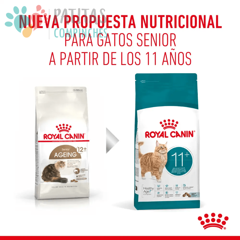Royal Canin Cat Ageing 11+ | Senior2