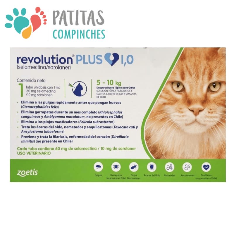 Revolution Plus Gato4