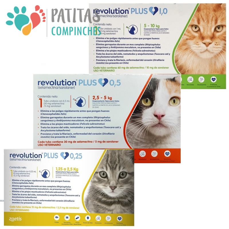 Revolution Plus Gato1