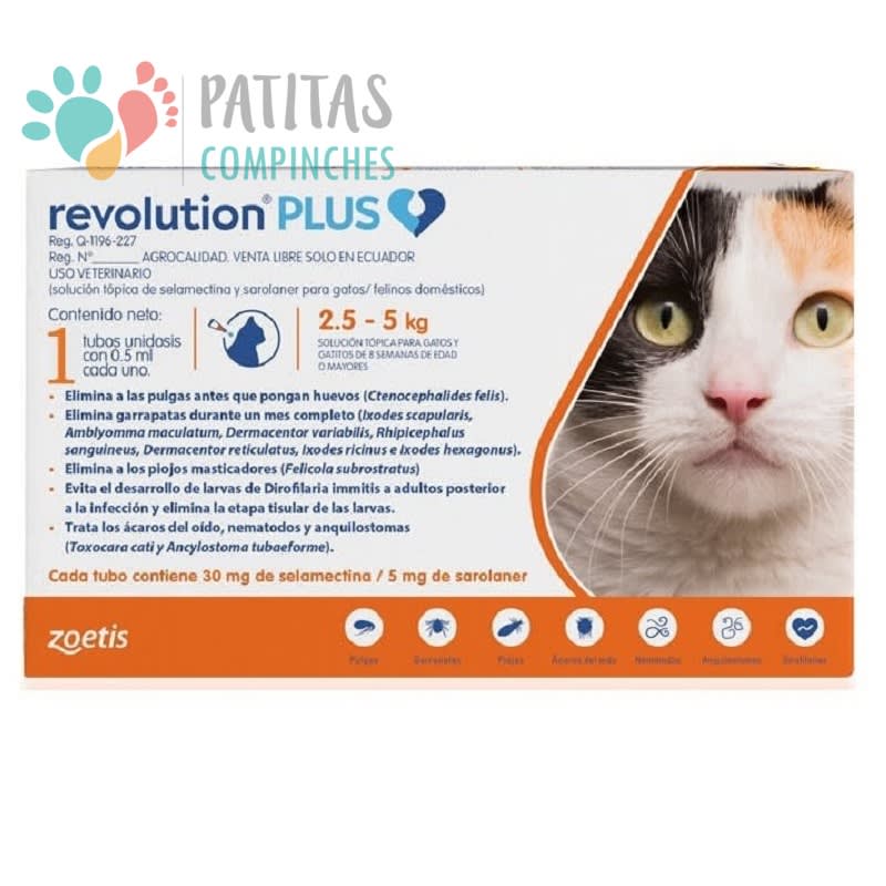 Revolution Plus Gato2