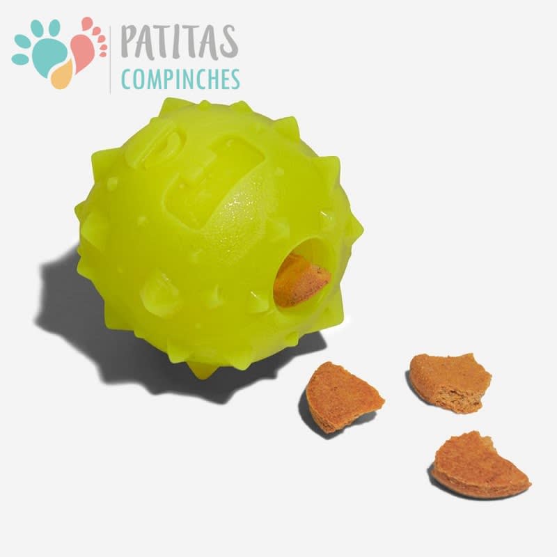 ZeeDog Toy Rob The Microbite3