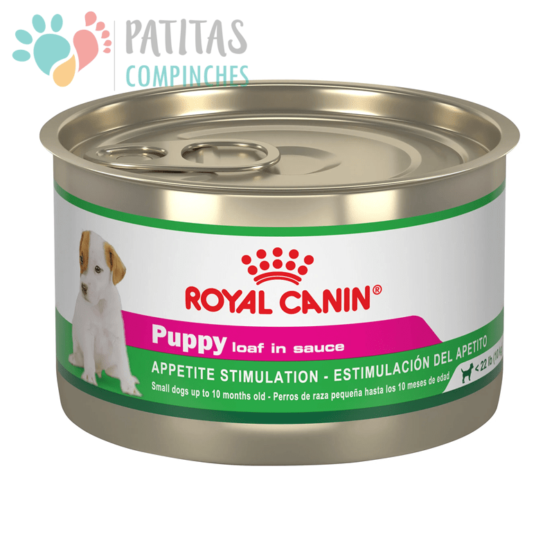 Royal Dog Puppy | Lata1