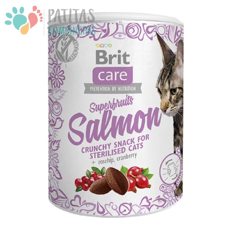 Brit Cat Superfruits Salmon 100grs.1