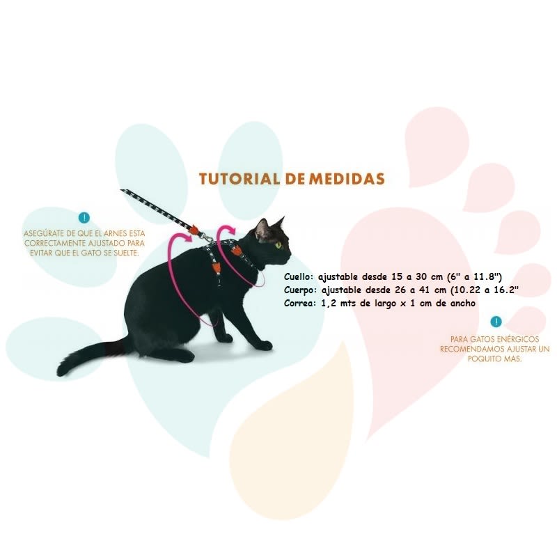 Set Arnés - Correa | Skull3