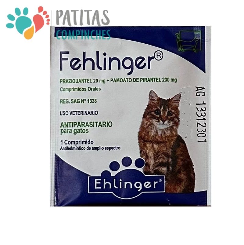 Fehlinger1