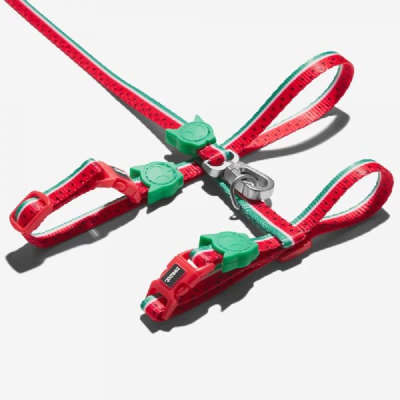 Set Arnés - Correa | Lola1