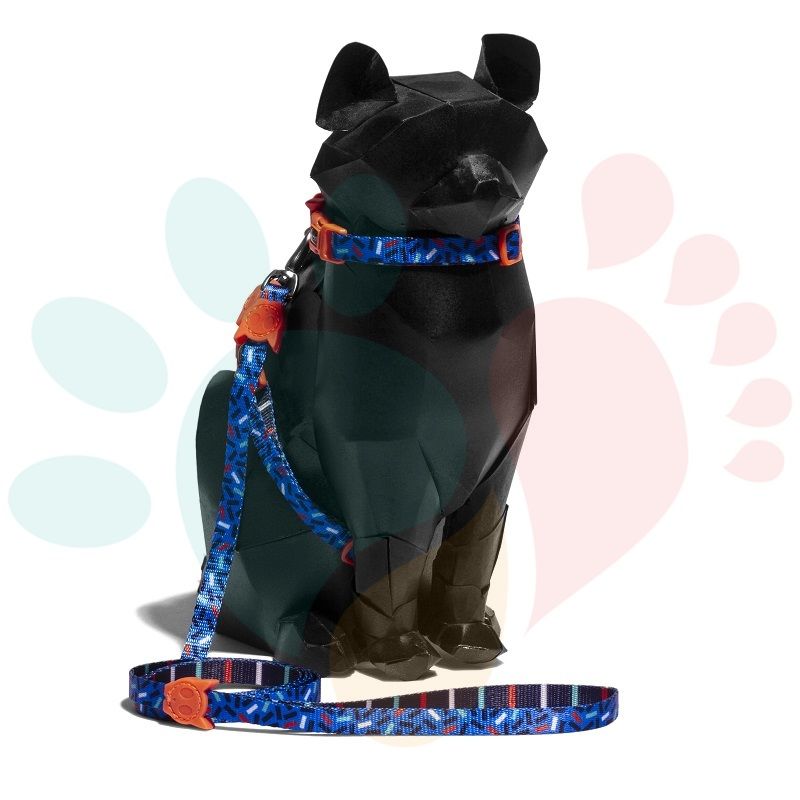 Set Arnés - Correa | Atlanta2